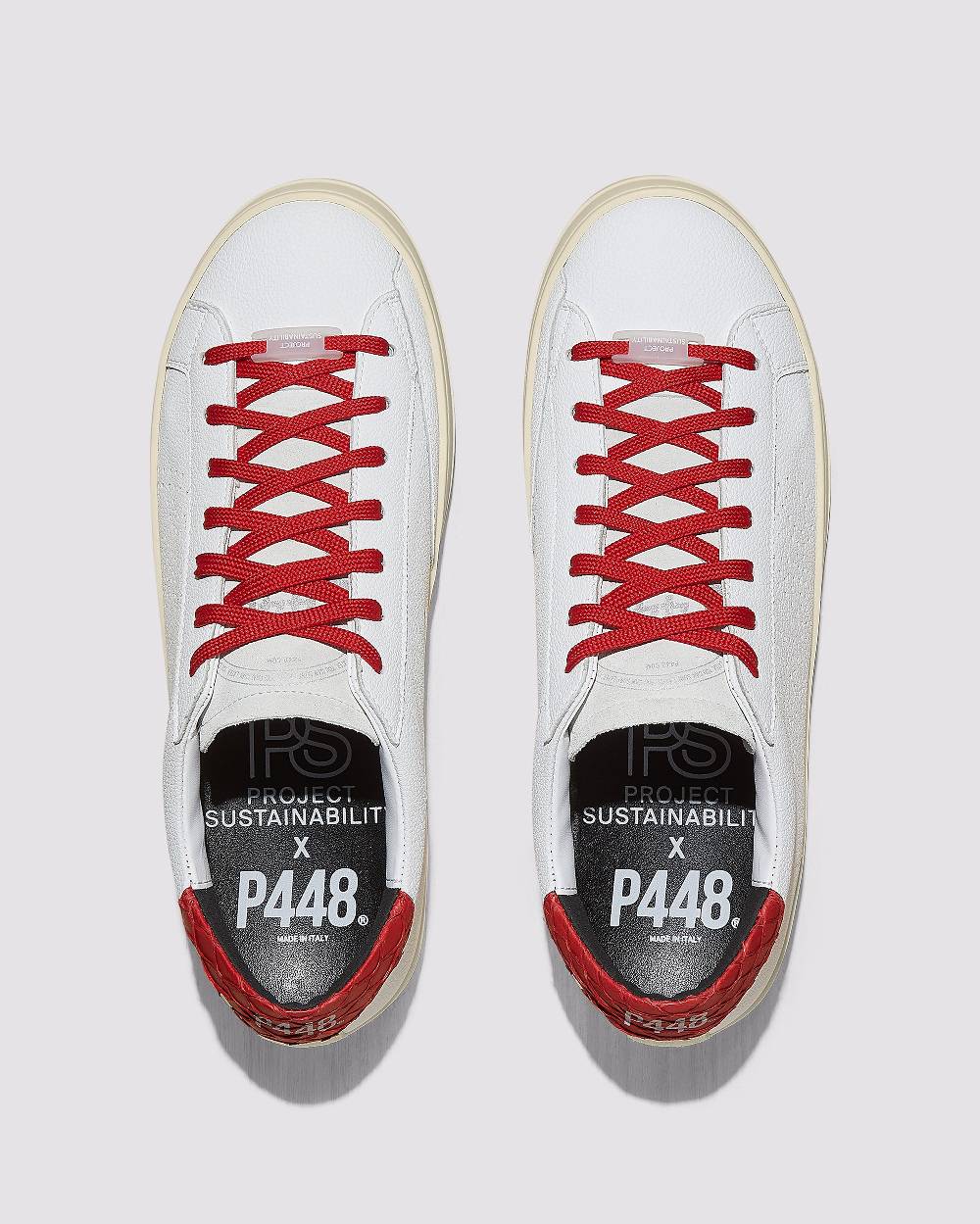 P448 John Carp/Red Online