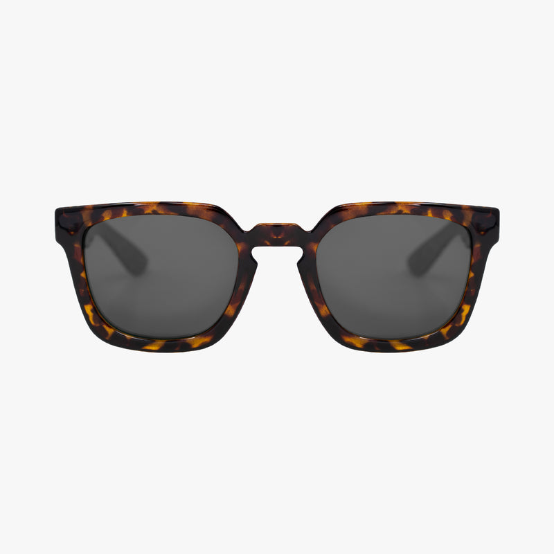 Scicon Occhiali da sole Turcio Tartarugati/Lenti Nere Shopping online
