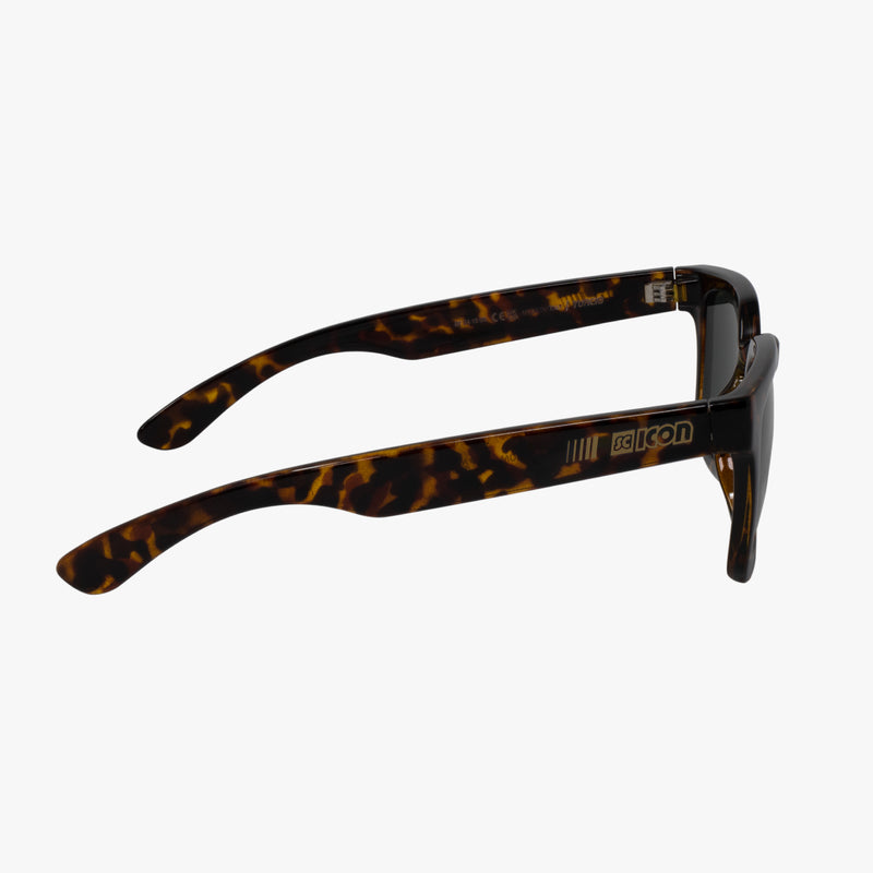 Scicon Occhiali da sole Turcio Tartarugati/Lenti Nere Shopping online