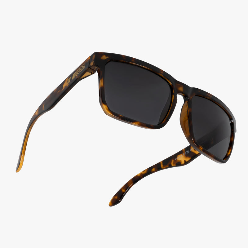 Scicon Occhiali da sole Gallio Tartarugato/Nero Offerte speciali
