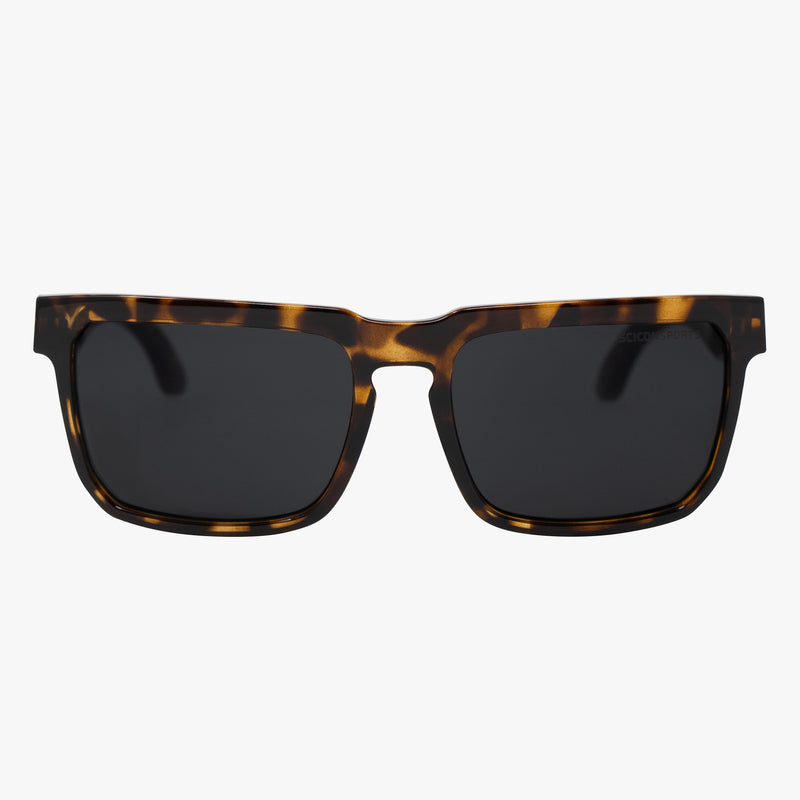 Scicon Occhiali da sole Gallio Tartarugato/Nero Offerte speciali